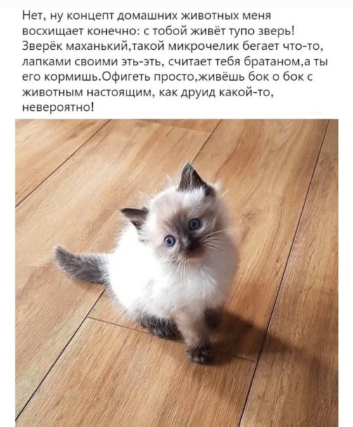 Так себе картинки 07.12.22