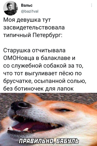 Немного картинок для настроения - 139