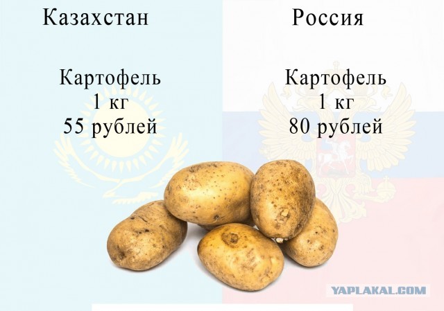 Из Казахстана в Россию за продуктами