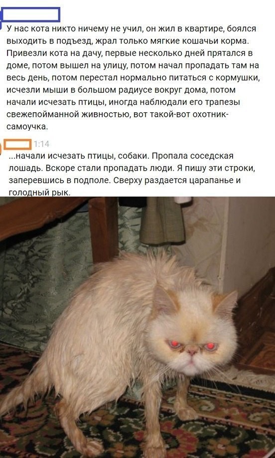 Народная меДИЧина 1012