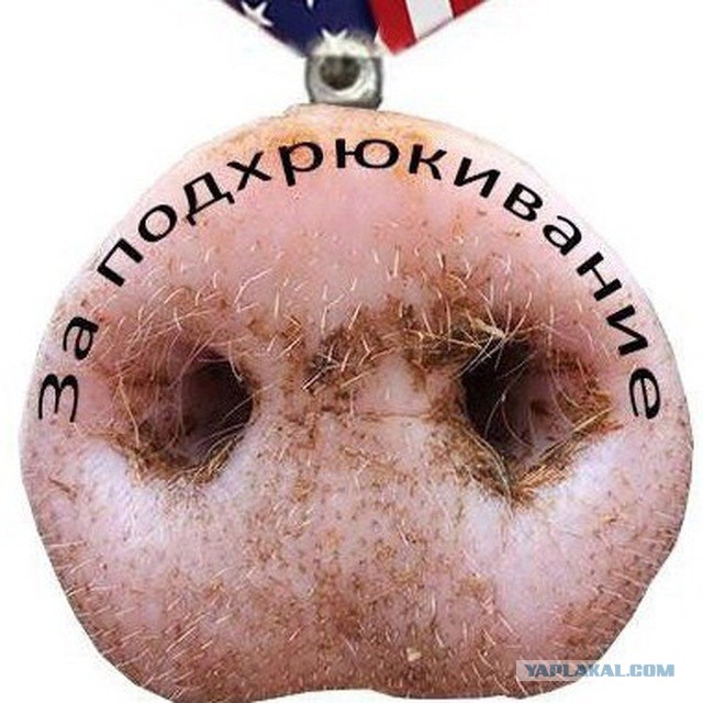 В ближайшее время проводить новую волну мобилизации в РФ пока не планируется — депутат Гурулёв в беседе с телеканалом «Забайкалье»