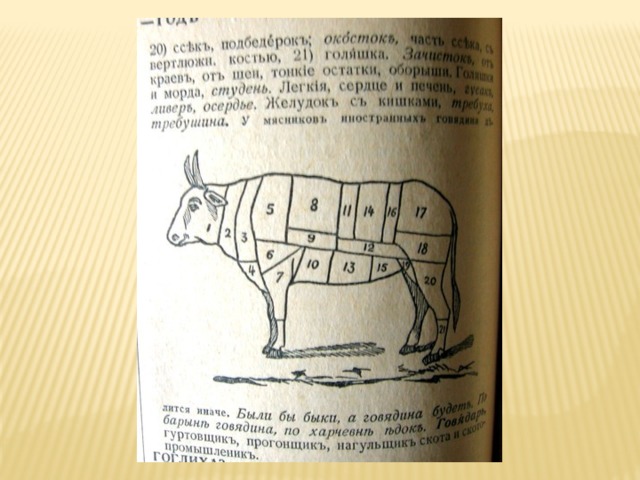 Когда на экзамене попался единственный билет, который ты учил