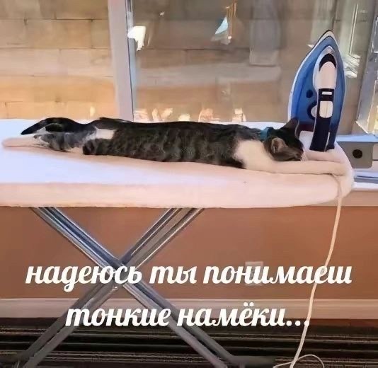 Так себе картинки 30.08.24