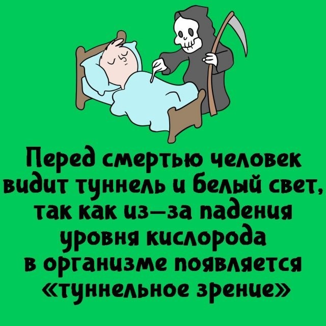 Подборка интересных фактов на все случаи жизни