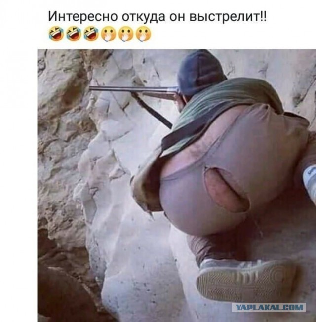 Завалялось тут случайно немного забавных картинок