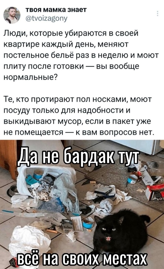 Весёлый полтишок 11.11.24