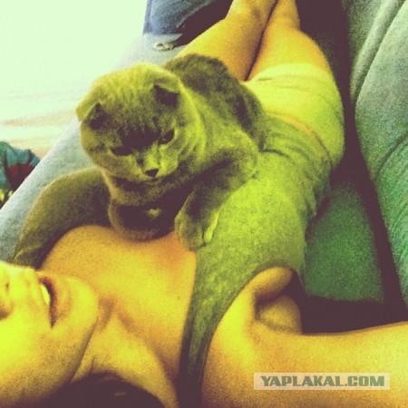 Анна Седокова в простыне