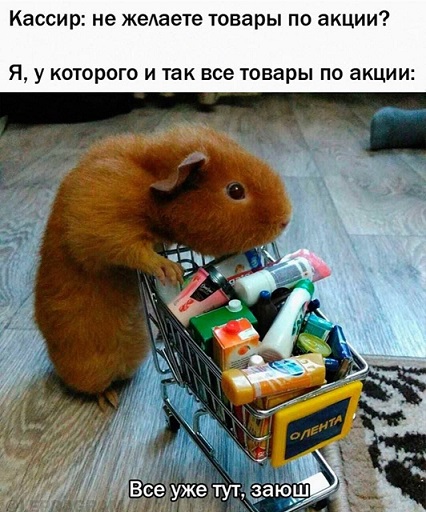 Вылезай, приехали!
