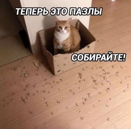 Завалялось тут случайно немного забавных картинок