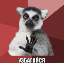 Толпа лемуров разбирает посетителей на атомы