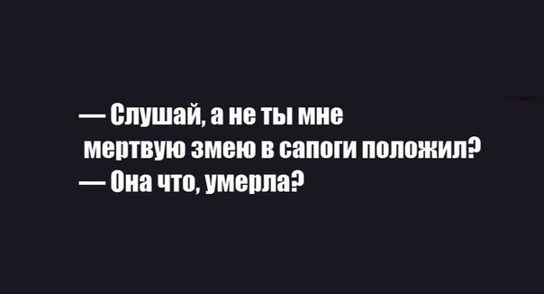 Веселые картинки в пятницу (12.12)