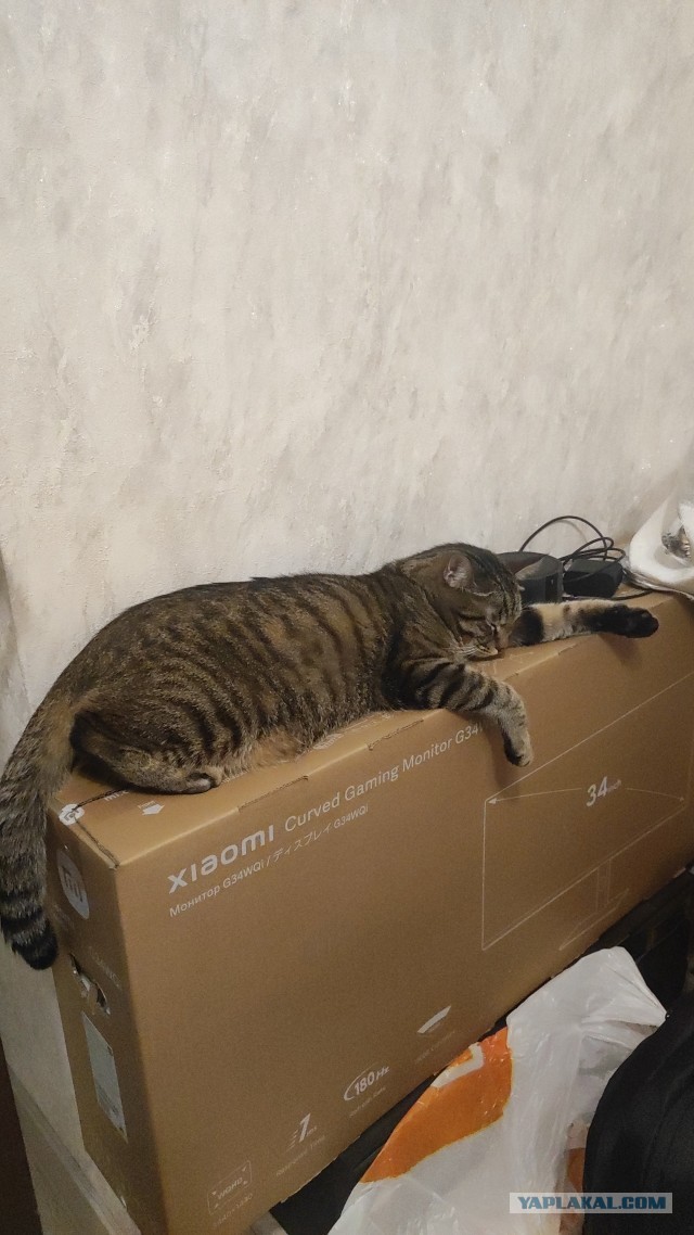 Бааарсик)