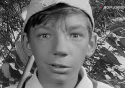 Институт семьи