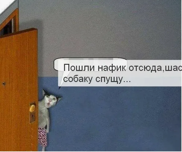Базарят