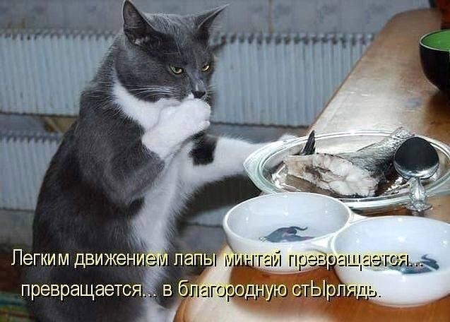 Сбросил клеймо⁠