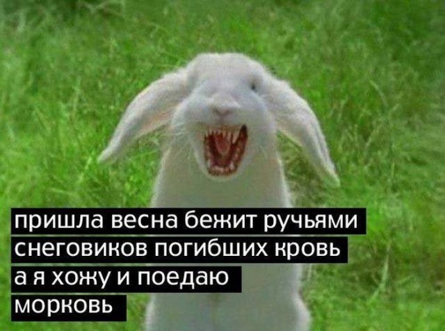 Картинки для деградации 200 (разной степени свежести)