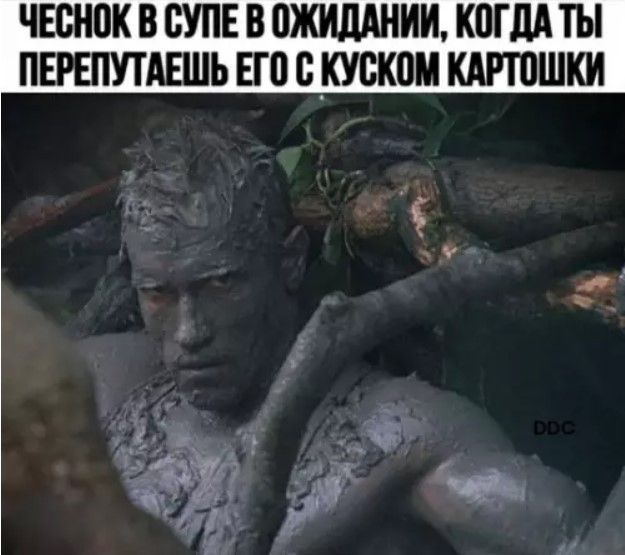 Картинки для деградации 230 (разной степени свежести)
