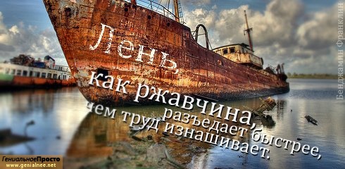 Афоризмы в картинках