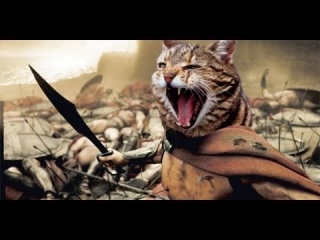 Игра "Ударь котенка по голове молотком!"