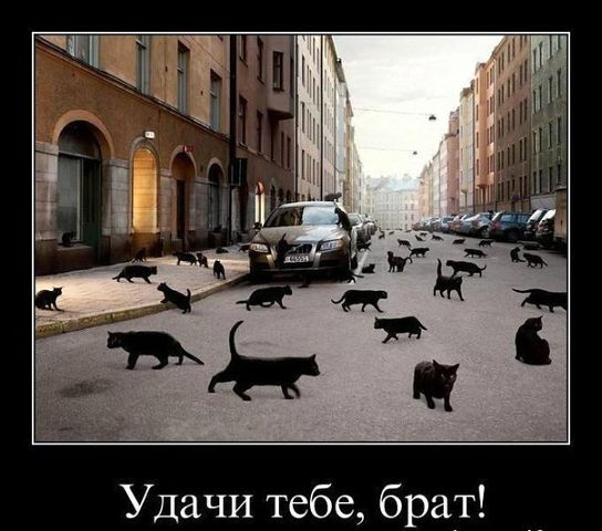 Странные люди, которых можно встретить в пути
