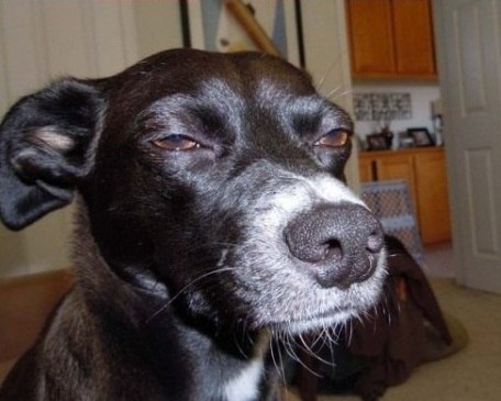 Я люблю одновременно троих мужчин