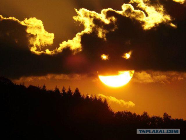 Отвлечёмся от работы и политики?