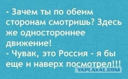 Я не умею водить
