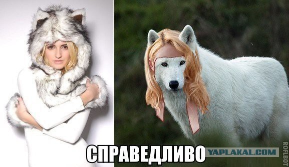 Немного позитива на пятницу