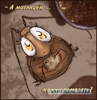 Школьница придумала способ борьбы с тараканами