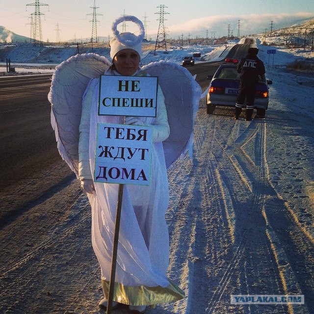 На дорогах в Мурманской области водители видят это