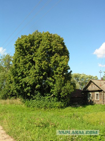 Красиво и романтично