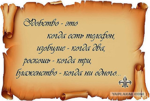 20 фактов обо всем