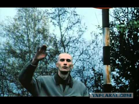 Украинцы за визовый режим с Россией