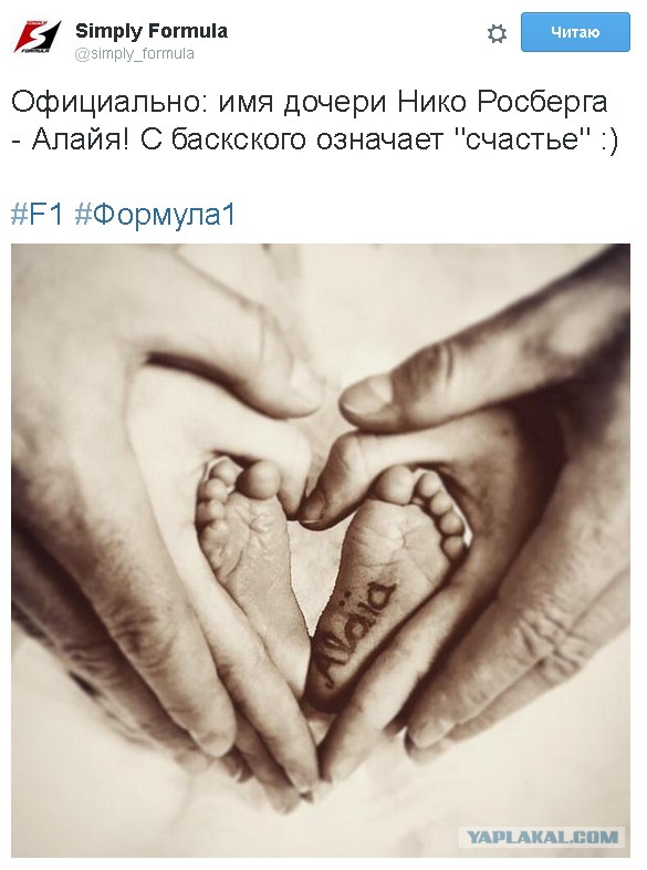 Формула-1 (Сезон 2015)