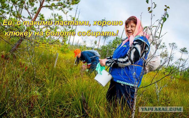 Сладкая парочка