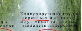 В мире животных