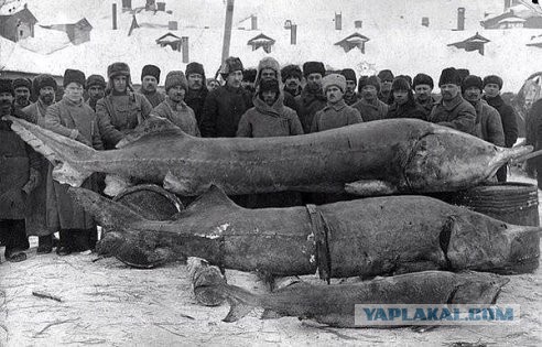 Город в России, за который мне стыдно