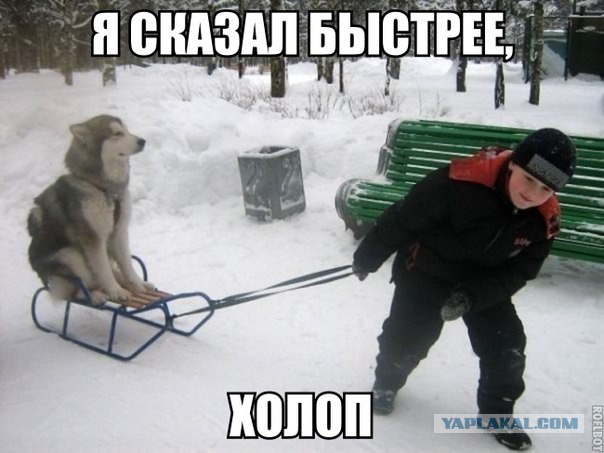 Картинки из сети.