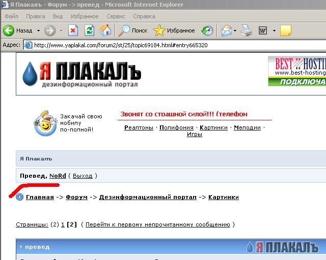 Превед медвед!