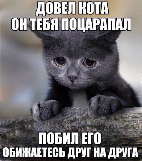 Подборка картинок из сети