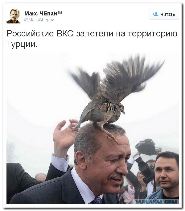 Карикатуры