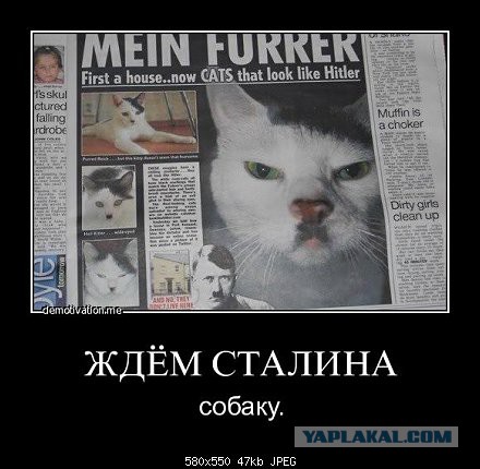 Демотиваторы на пятницу!