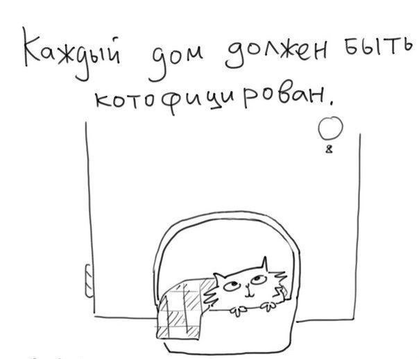 Жена и любимая дочка просят кошку, как быть?