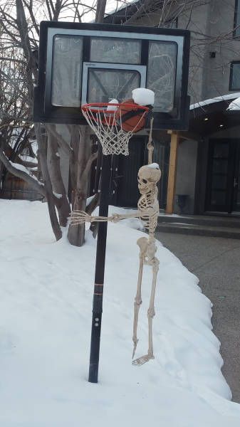 Подборка веселых картинок на выходные