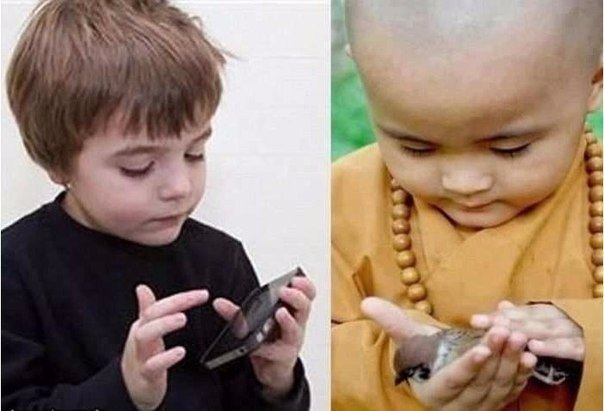 Подборка интересных и веселых картинок