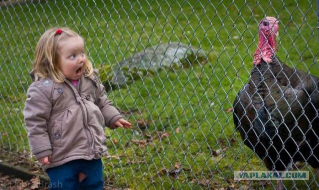 Иногда встречи с животными бывают очень неожиданными