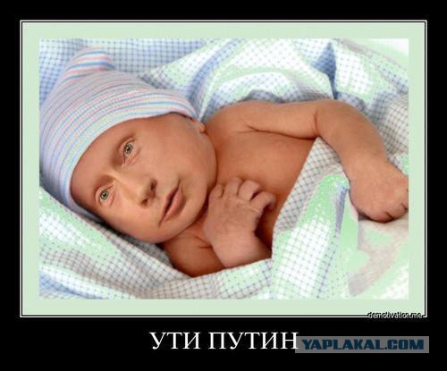 Ставка на элиты: почему обращения к Путину теперь заканчиваются плохо
