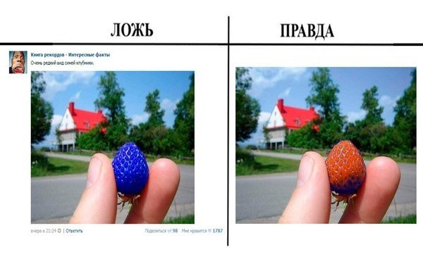 Правда-ложь