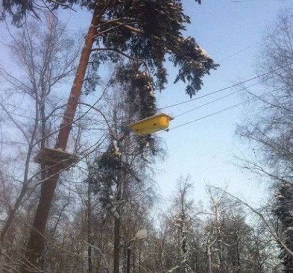 Ассорти картинок из сети