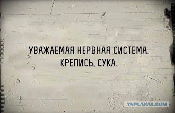 Медведев о низких зарплатах преподавателей